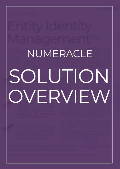 Numeracle One-Page Company Overview